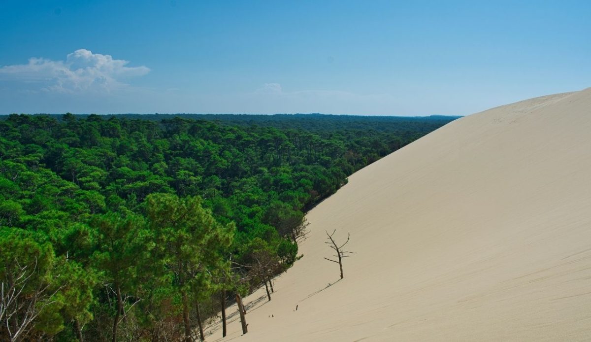 Dune du Pilat, Nouvelle-Aquitaine, France