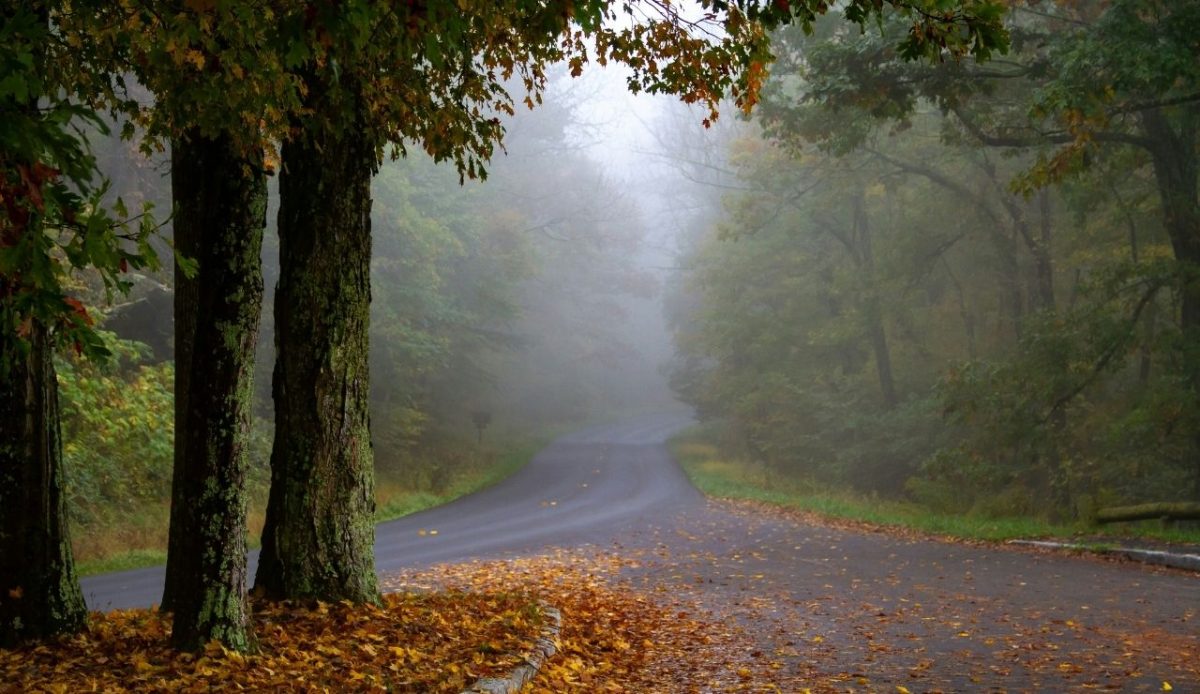 10 Fall Activities Across the US to Enjoy in 2025 8 Foggy autumn road along Skyline Drive, Shenandoah National Park, Virginia, United States