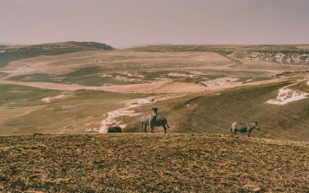 15 Small Towns in South Africa Travelers Should Visit Now