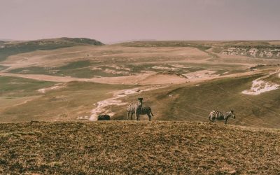 15 Small Towns in South Africa Travelers Should Visit Now