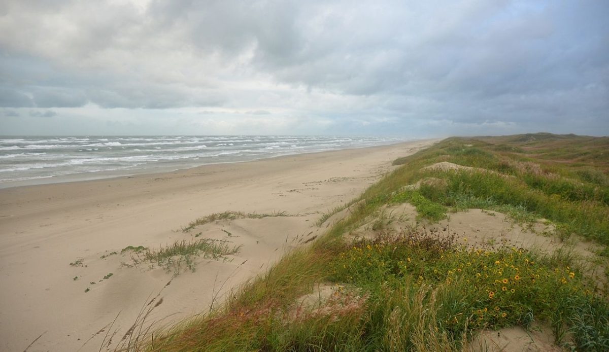7 Coastal Hikes in the US That Locals Can’t Get Enough Of 6 Grassy sand dunes along Padre Island National Seashore in Kleberg County, Texas, USA