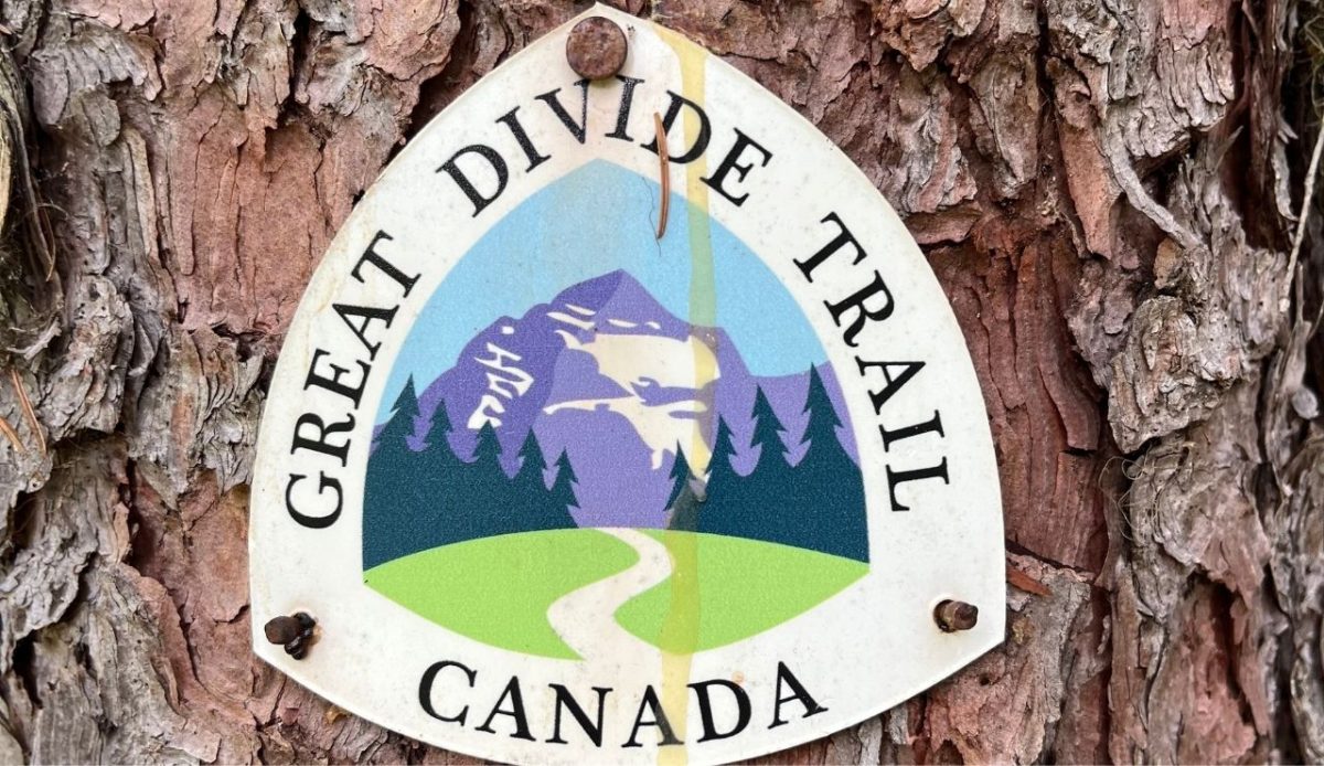 12 Scenic Bike Tours Around the World Worth Every Mile 1 Great Divide Mountain Bike Route