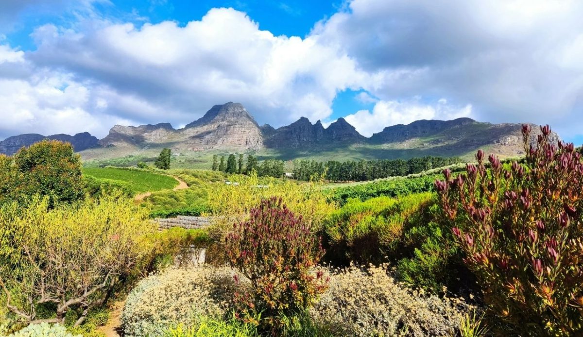 Jonkershoek Nature Reserve, Stellenbosch, South Africa
