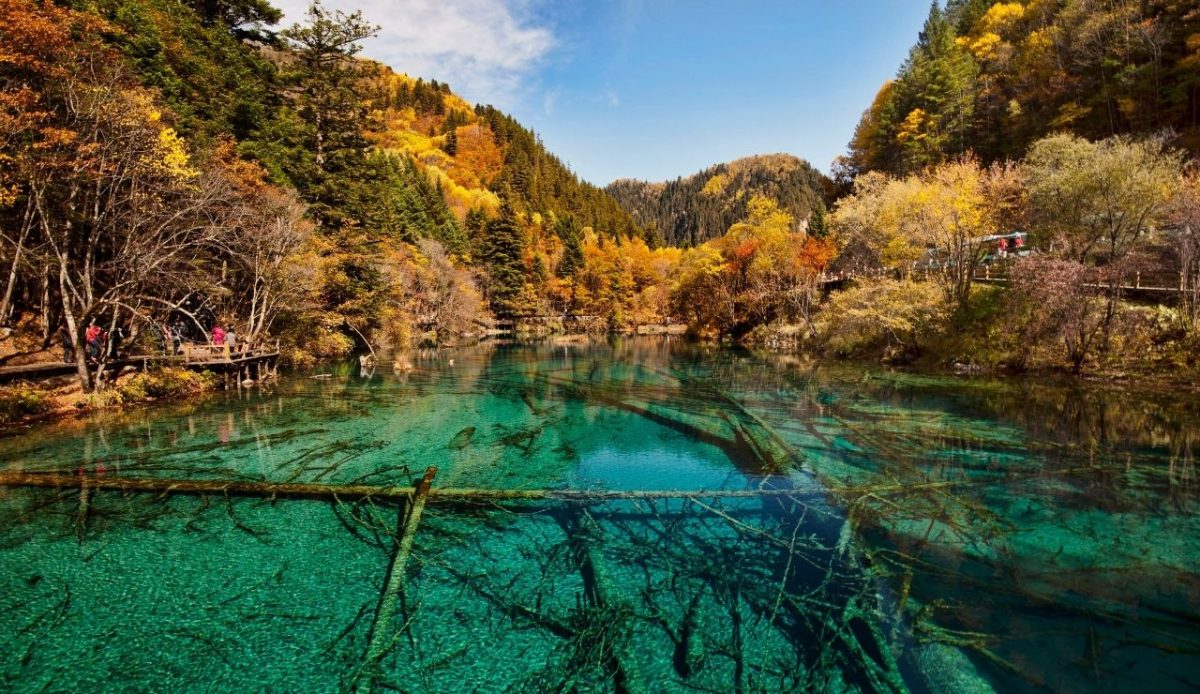 14 Prettiest Destinations To Visit Across China 8 Landscape of Five Flower Lake in Rize Valley , Jiuzhaigou Valley National Park, Sichuan Province, Western China (2011)