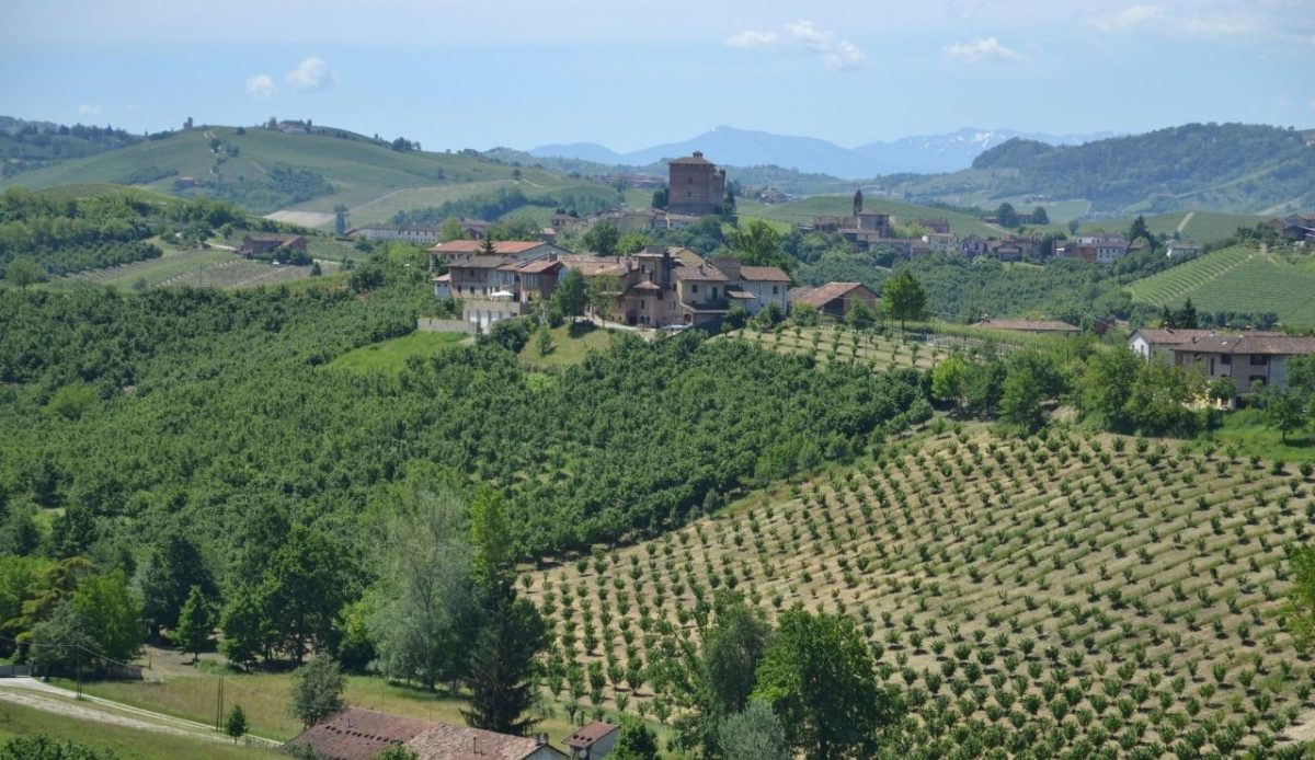 Langhe wine region, Piedmont, Italy