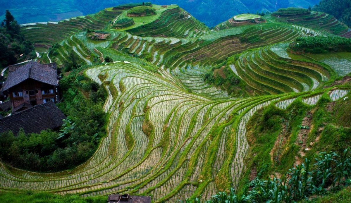 14 Prettiest Destinations To Visit Across China 13 Longsheng (Longji) Rice Terrace