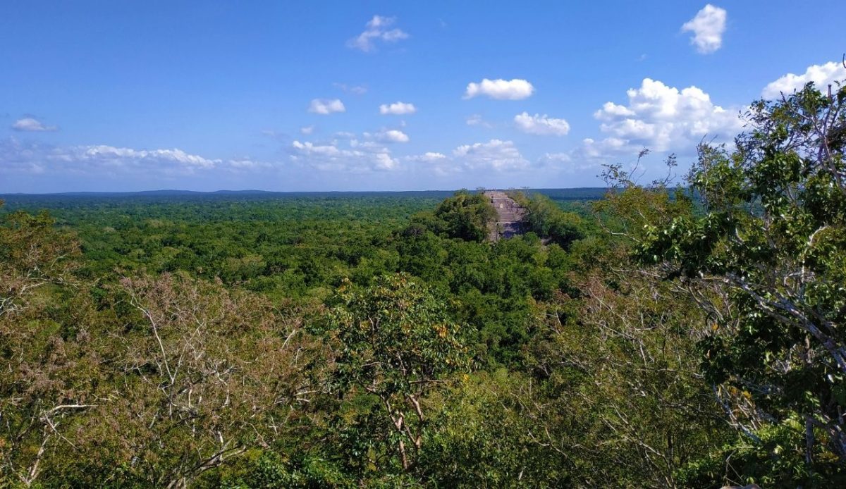 Mayan pyramid into the woods, Calakmul, Campeche, Mexico      