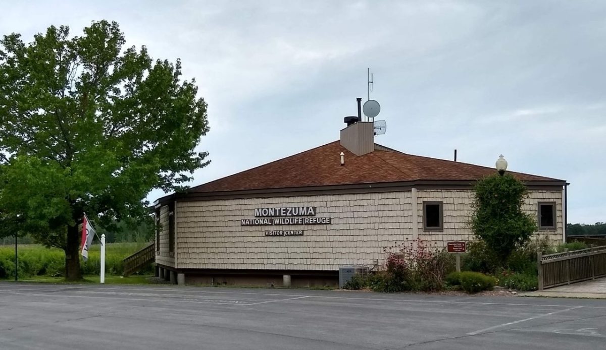 Montezuma National Wildlife Refuge - New York