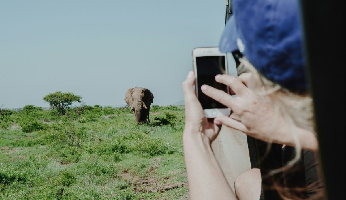 12 Common Mistakes Travelers Make When Visiting National Parks 9 Person taking close photo an elephant during a safari drive in open grassland