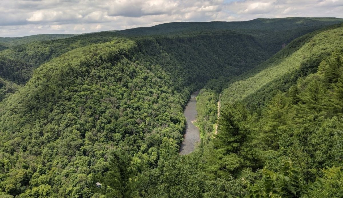 14 Charming Pennsylvania Towns Perfect for a Family Getaway 6 Pine Creek Gorge, also known as the Pennsylvania Grand Canyon, near Wellsboro, Pennsylvania