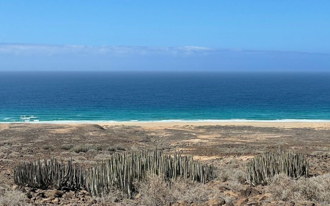 10 Most Beautiful Beaches to Visit in Spain