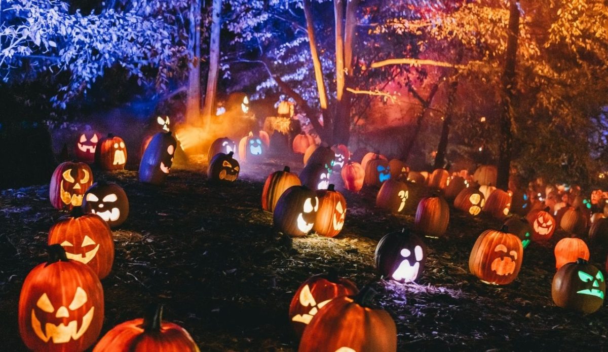 10 Fall Activities Across the US to Enjoy in 2025 10 Pumpkin Nights