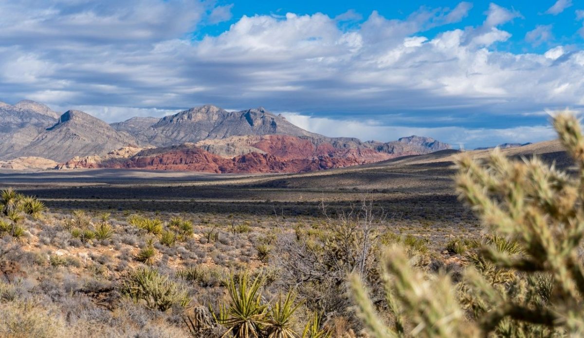 13 Top Las Vegas Attractions That Older Visitors Rave About 4 Red Rock Canyon National Conservation Area, Las Vegas