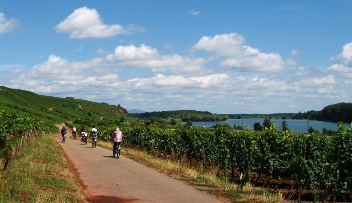 12 Scenic Bike Tours Around the World Worth Every Mile 12 Rhine Cycle Route between Worms and Mainz
