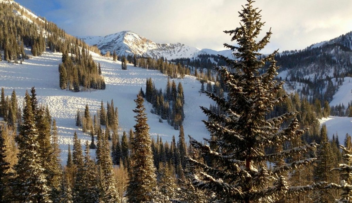 8 Best Ski Destinations Across The U.S. For Winter Adventures 3 Snow-covered ski slopes and pine trees in Snow bird, Utah