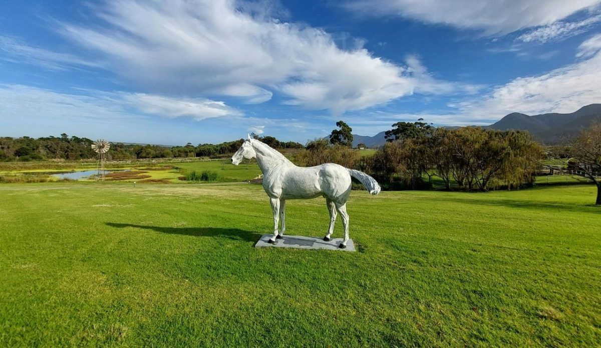 15 Small Towns in South Africa Travelers Should Visit Now 6 Surreal White Horse Sculpture in Stanford, Western Cape, South Africa