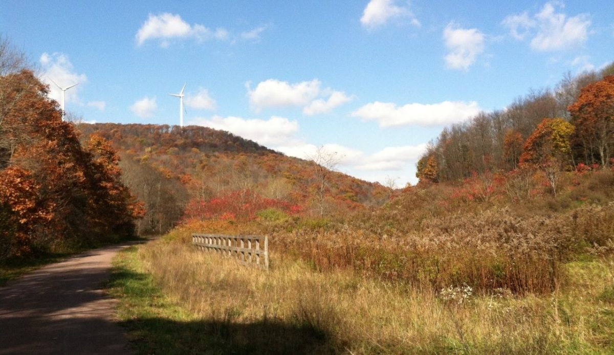 12 Scenic Bike Tours Around the World Worth Every Mile 4 The Great Allegheny Passage