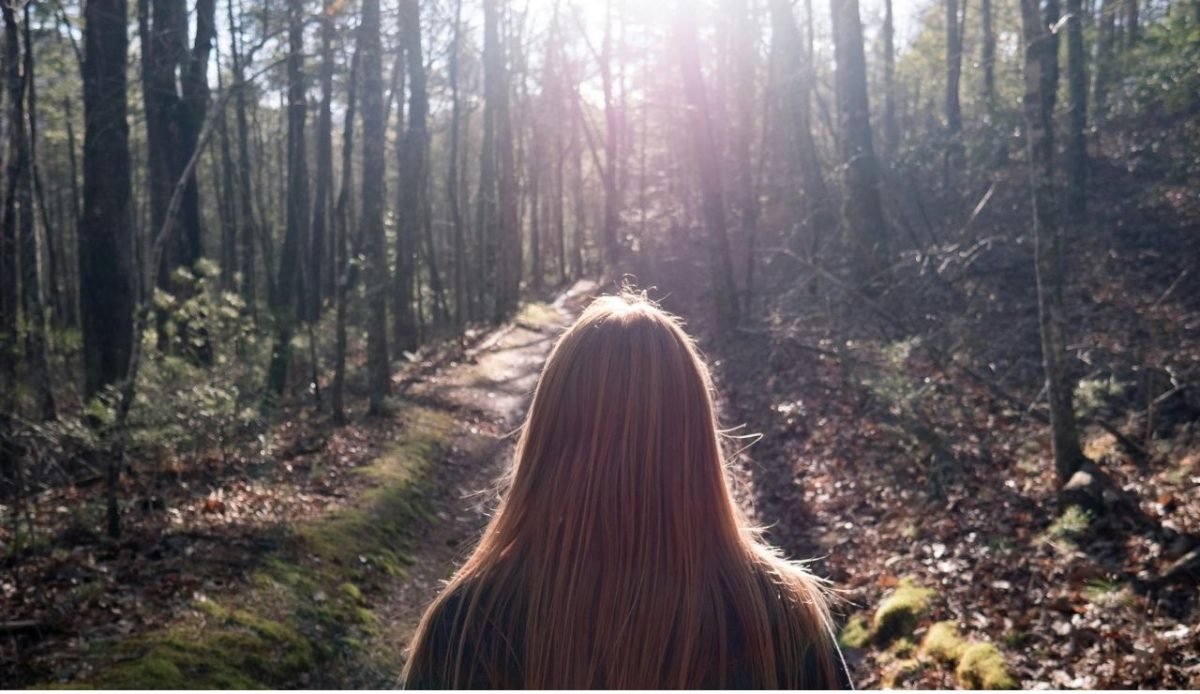 8 Affordable Fall Getaways Still Underrated by Retirees 8 Townsend, TN, United States