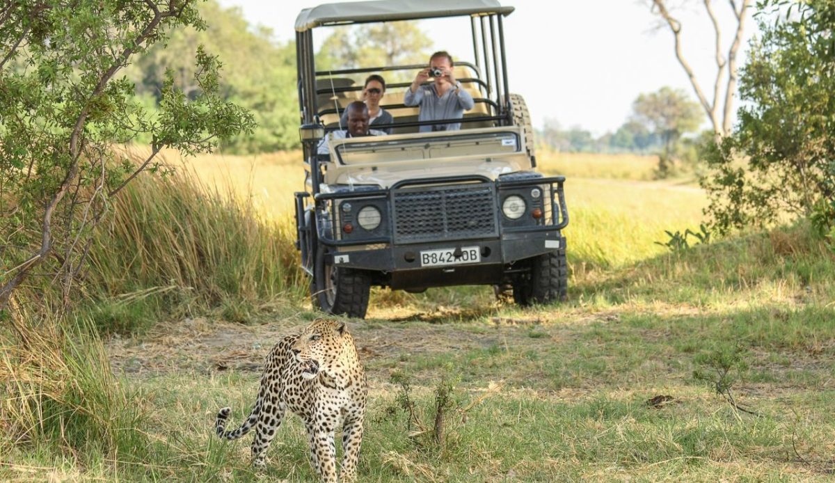 Okavango Delta, Botswana