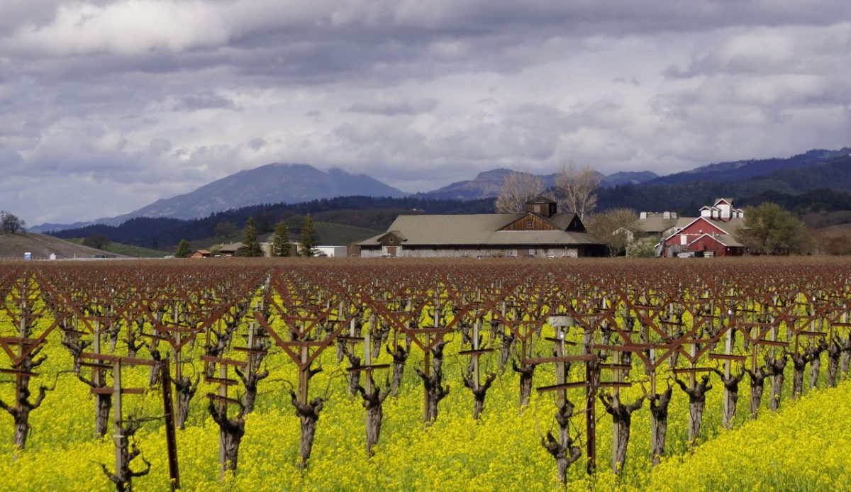 Napa Valley, California