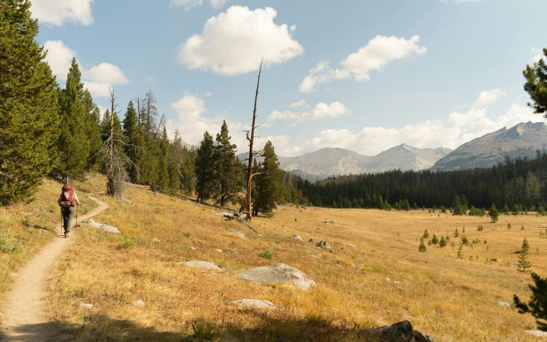 10 Fascinating Ancient Trails To Explore Across North America