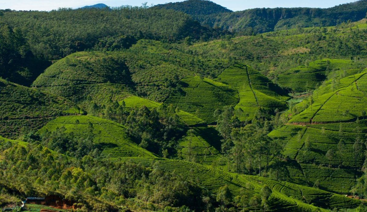 Nuwara Eliya, Sri Lanka