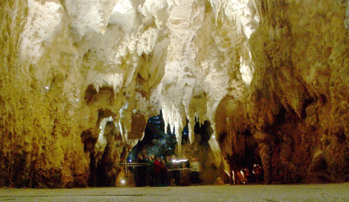 Waitomo Glowworm Caves, New Zealand