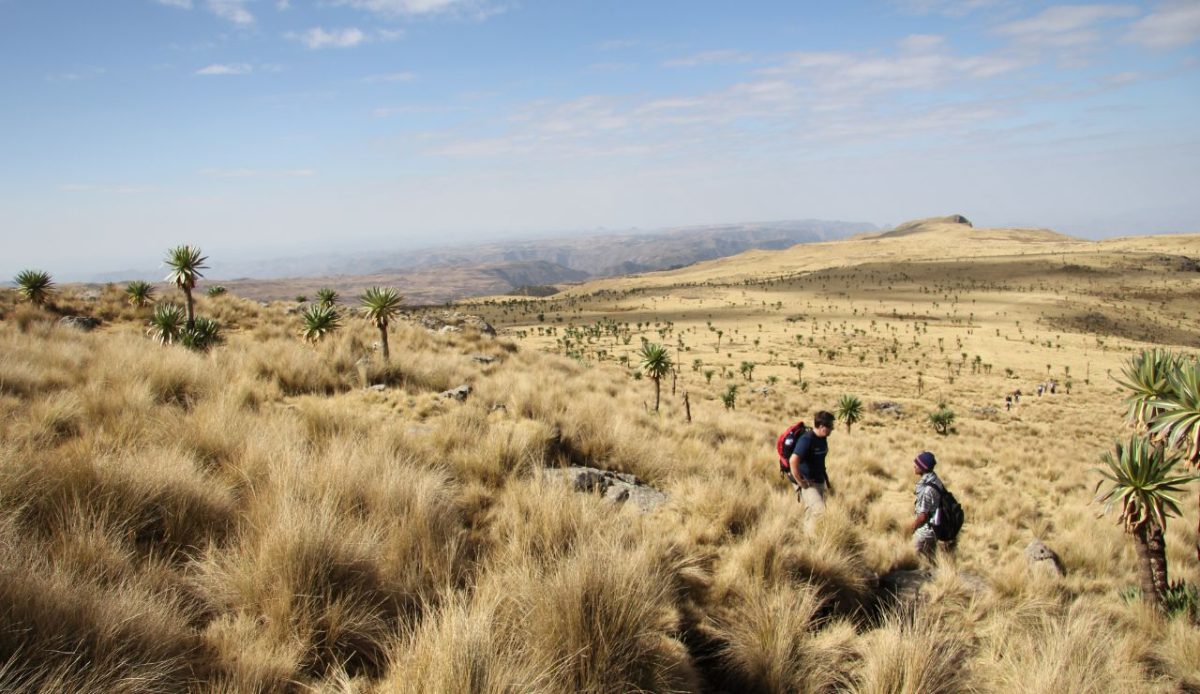 Simien Mountains Pass, Ethiopia