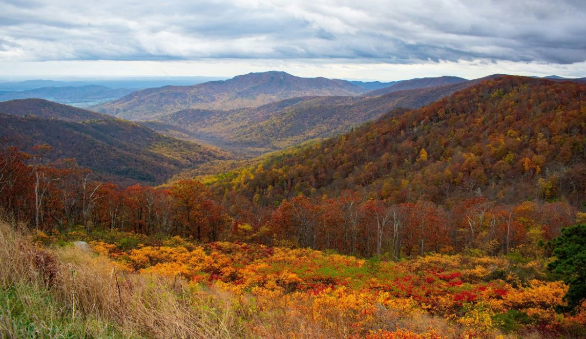 Shenandoah National Park, Virginia