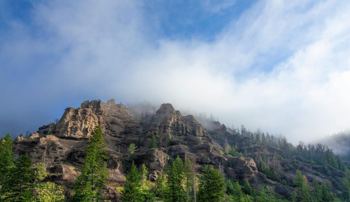 Shoshone National Forest, Wyoming