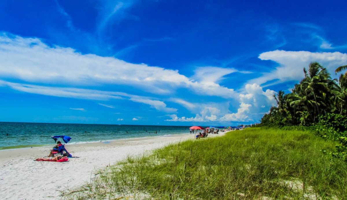 Miami Beach South Beach sunset palm trees in Ocean Drive Florida Stock  Photo - Alamy, image size:1200x694