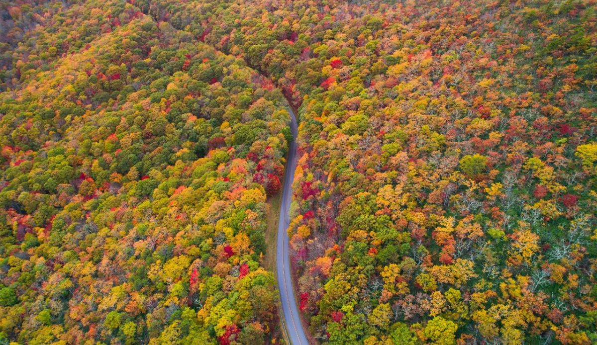 Blue Ridge Parkway, Virginia & North Carolina