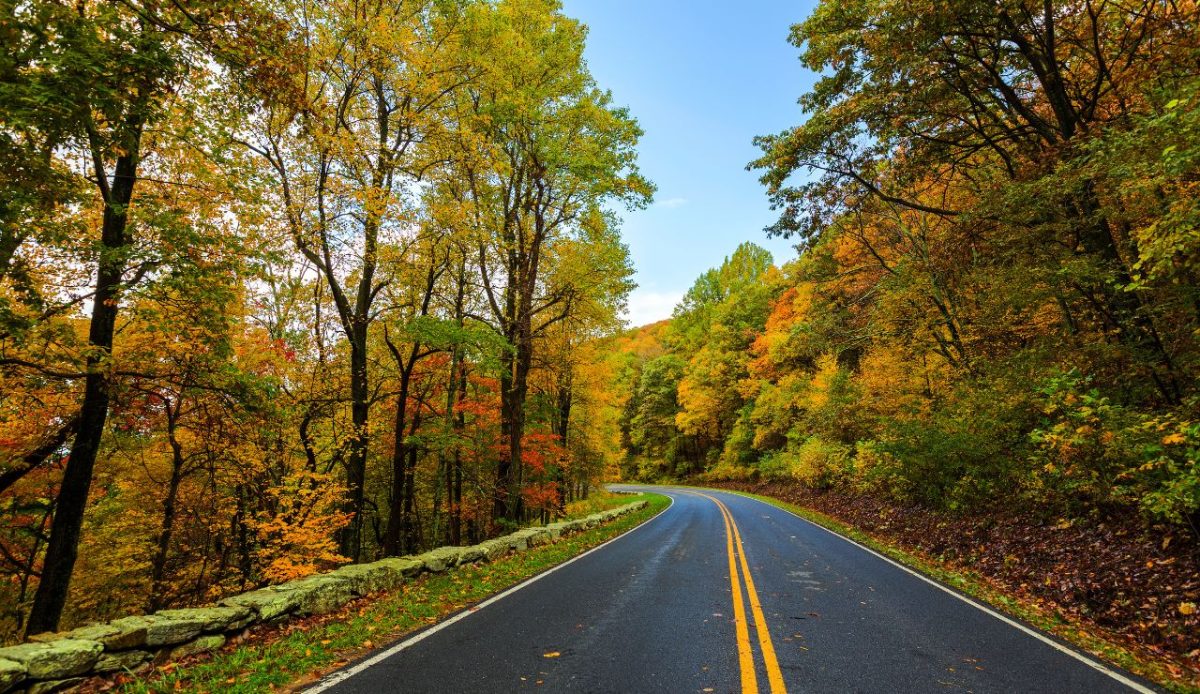 Shenandoah National Park Skyline Drive, Virginia