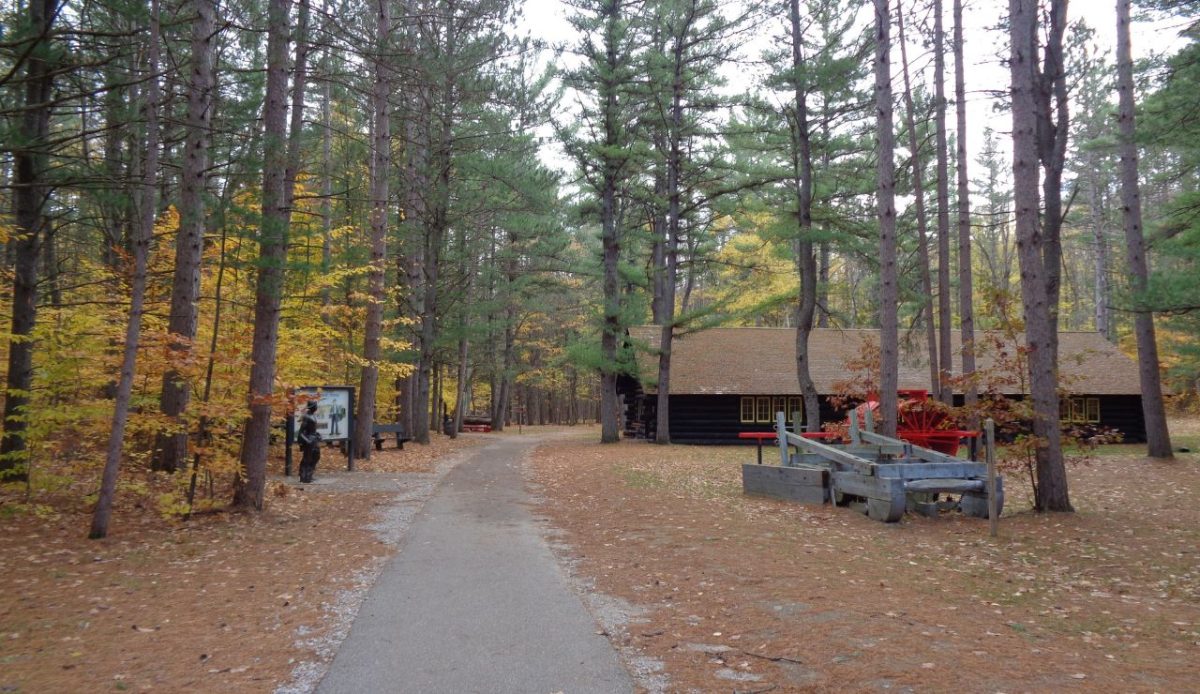 8 Michigan State Parks Too Beautiful to Skip 8 Hartwick Pines State Park