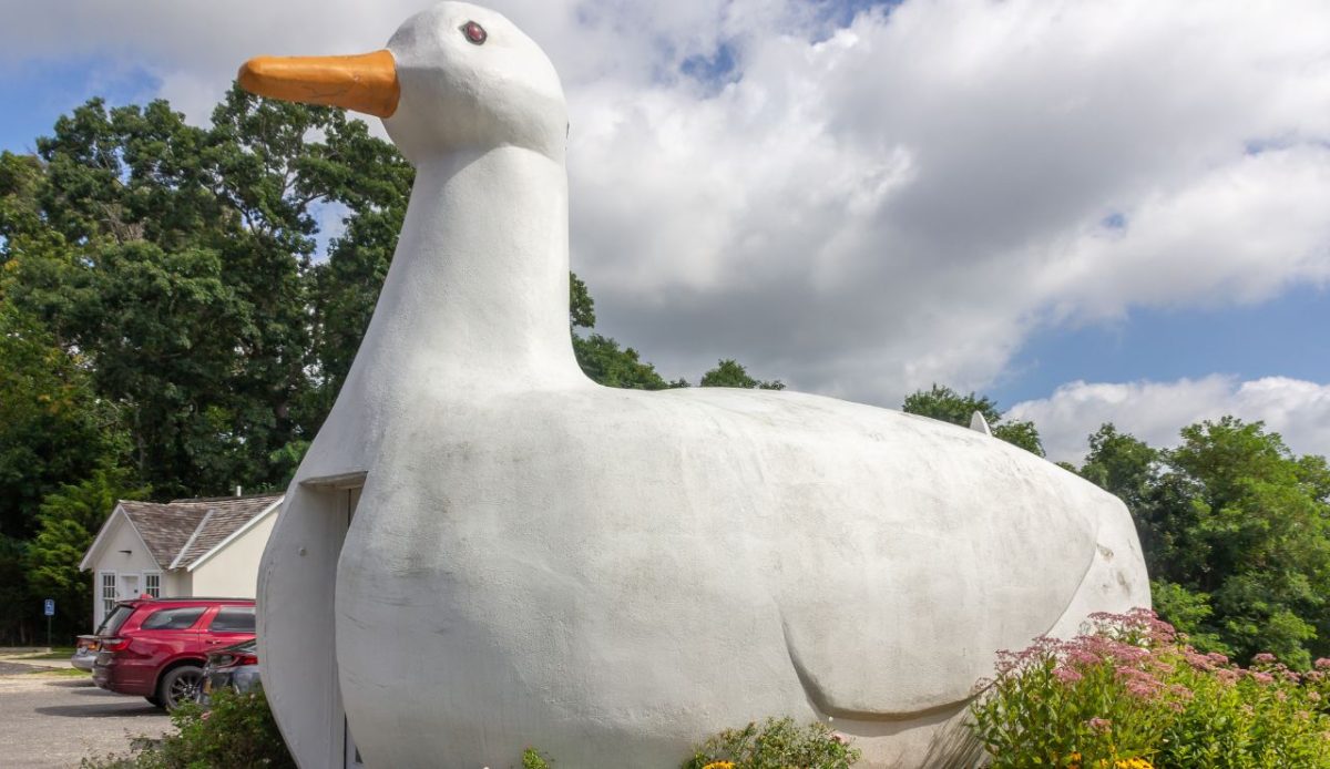 The Big Duck, Flanders, New York