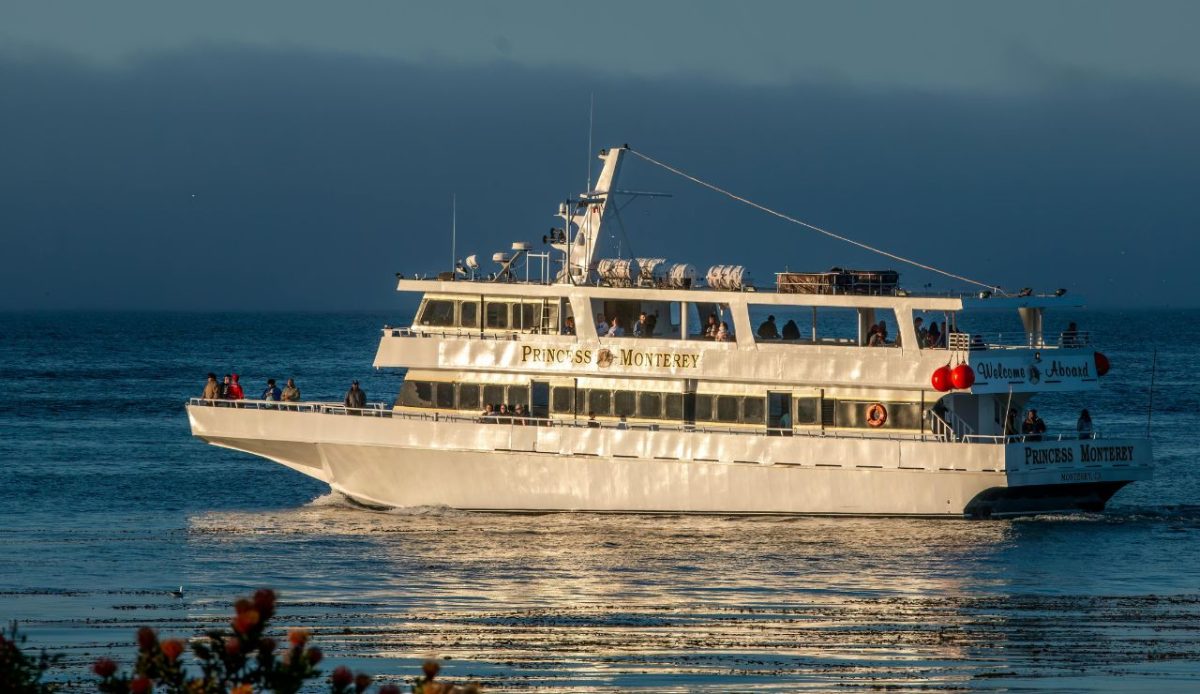 8 Best Cruise Deck Spots to Watch Whales Without Leaving the Ship 3 Monterey Bay, California