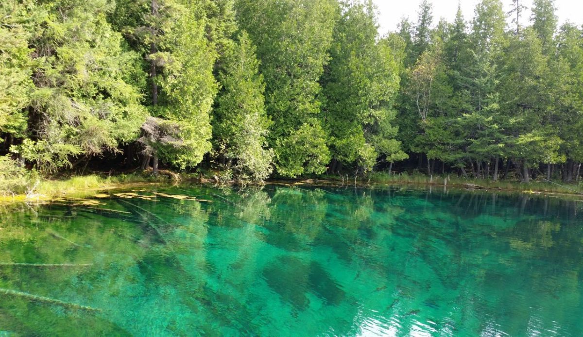 Palms Book State Park, Manistique