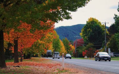 14 Fall Foliage Getaways From NYC Worth the Drive