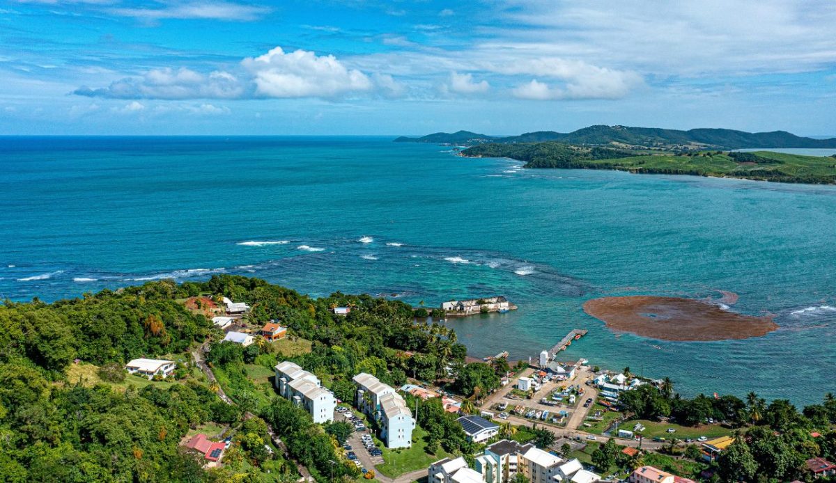 12 Islands Around the World Too Special to Be Tourist Traps 7 Dominica, Caribbean