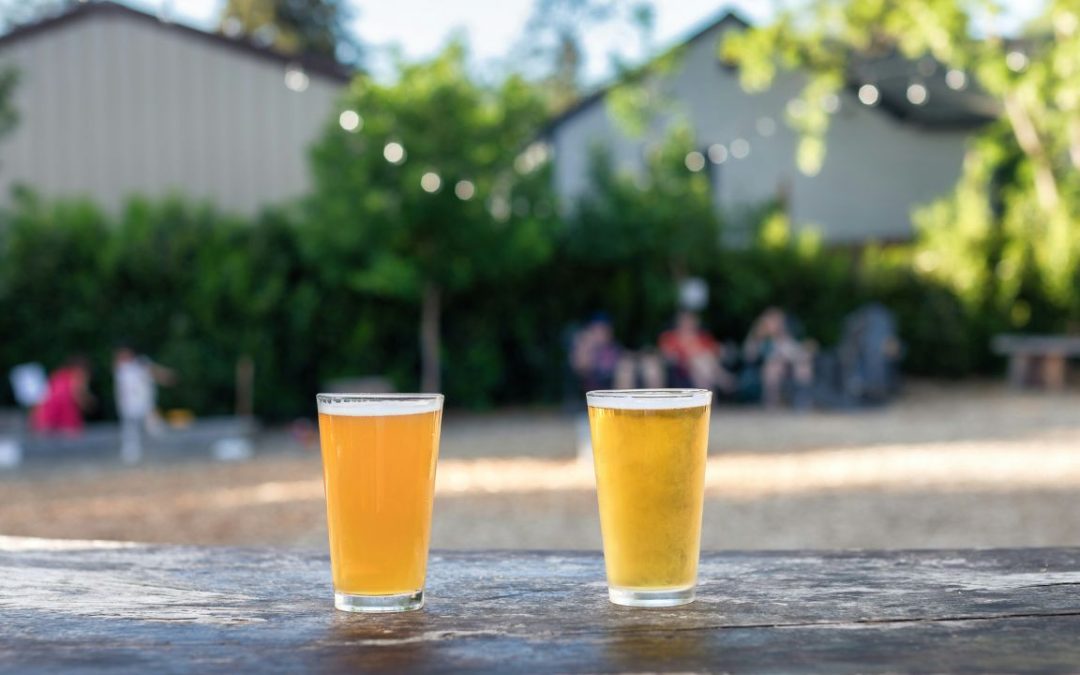 10 Affordable US Towns With the Most Craft Breweries to Explore