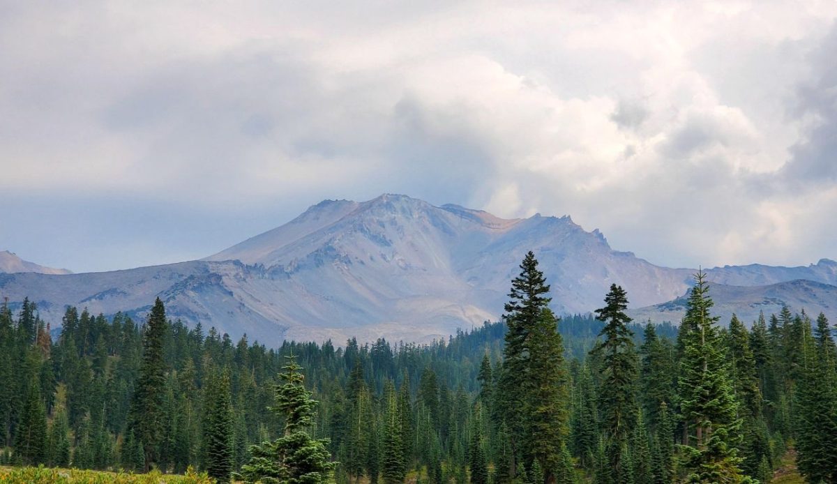13 U.S. Forests With An Eerie Reputation For Missing Hikers 4 Shasta-Trinity National Forest, California