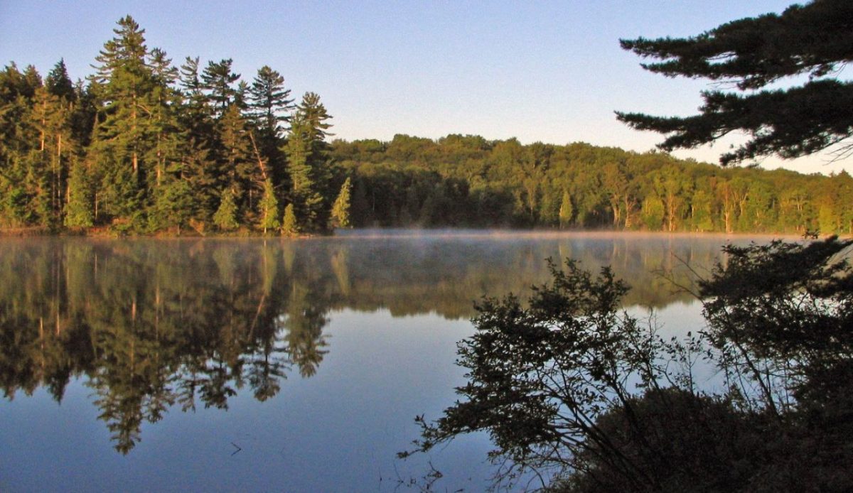 13 U.S. Forests With An Eerie Reputation For Missing Hikers 11 Adirondack Park, New York