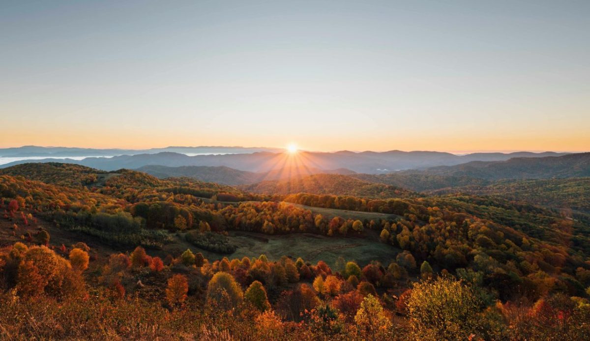 13 U.S. Forests With An Eerie Reputation For Missing Hikers 12 Pisgah National Forest, North Carolina
