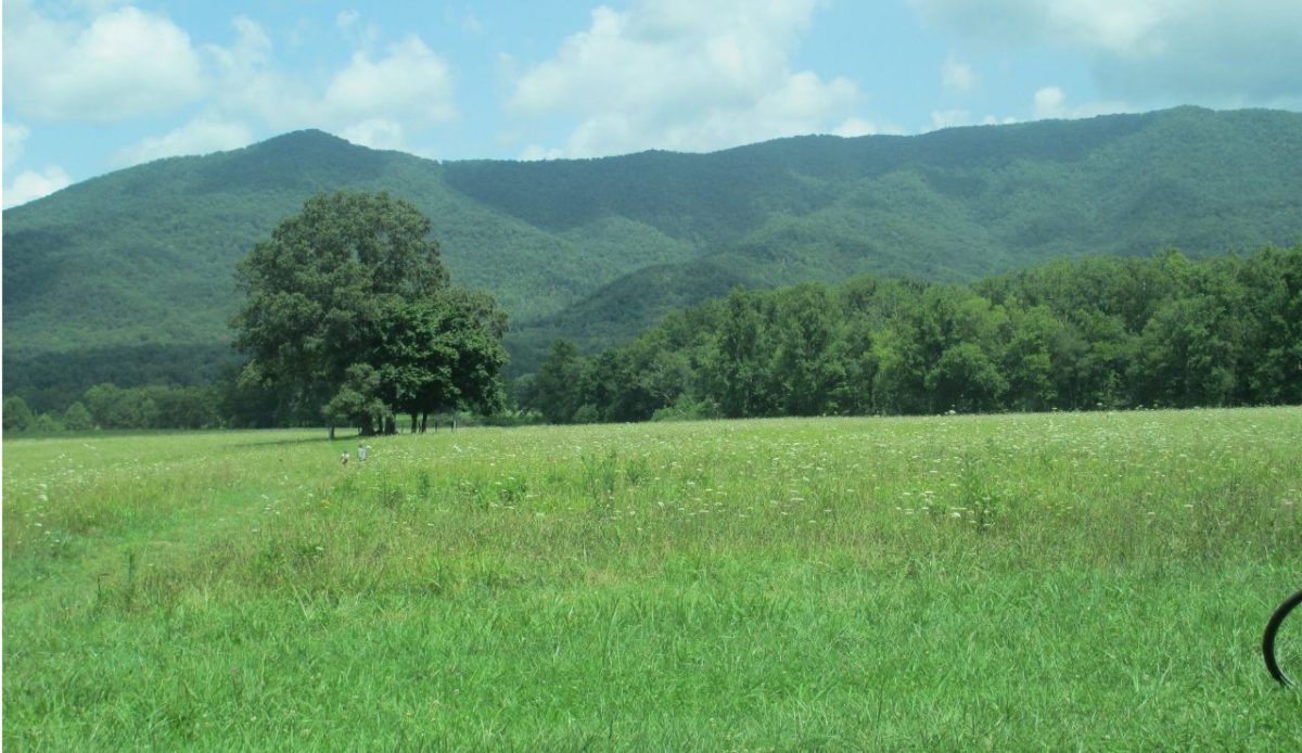 Cades Cove Campground, Tennessee