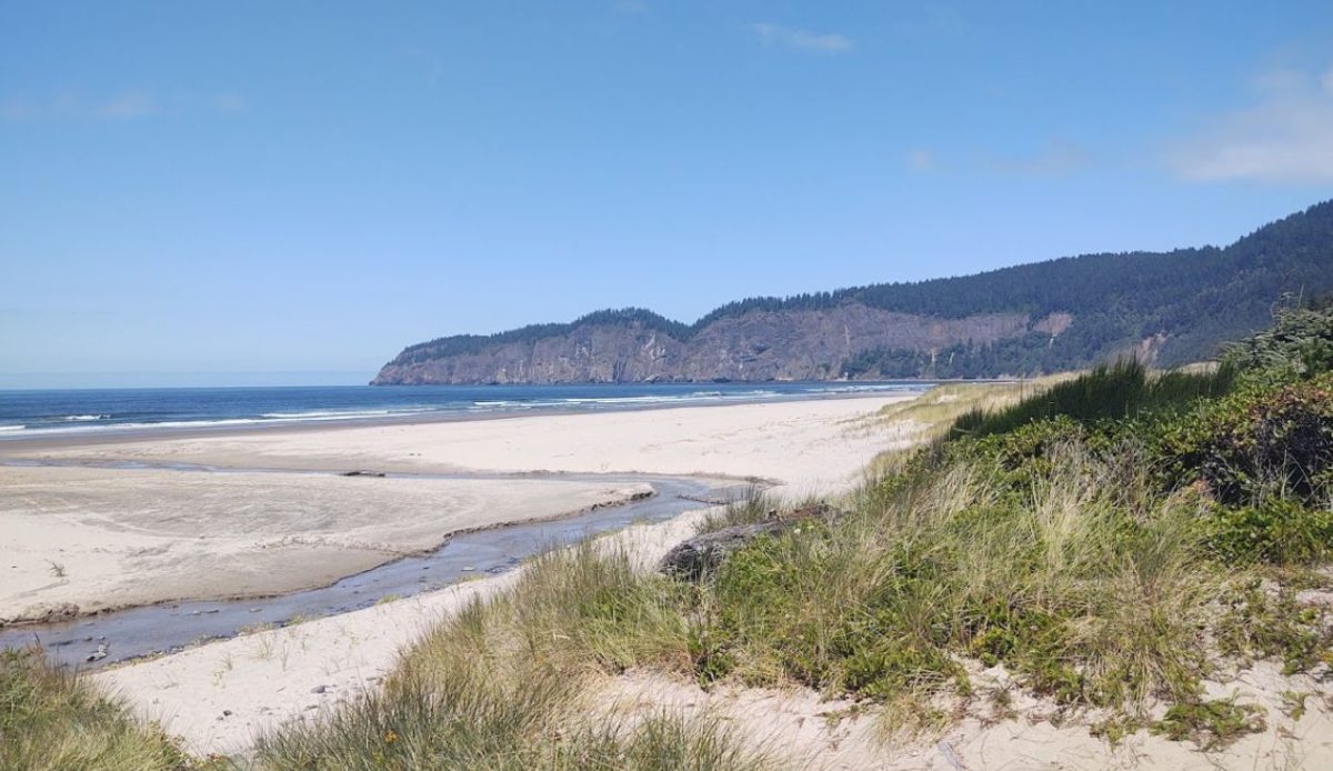 Cape Lookout State Park, Oregon