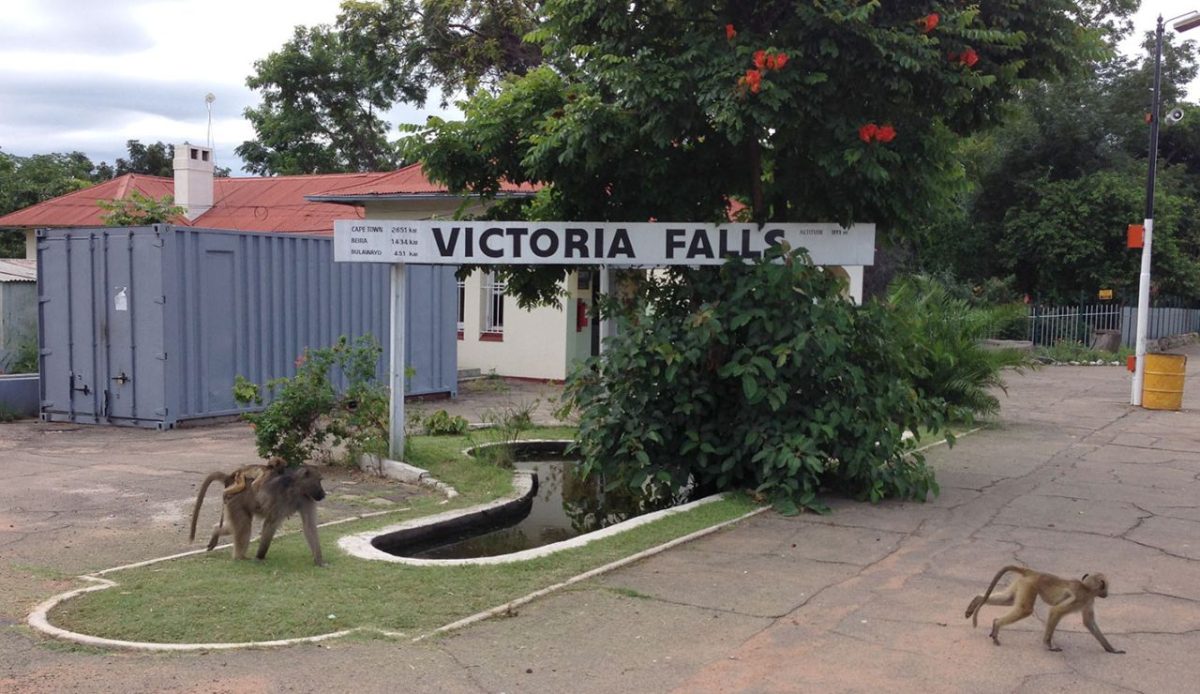 12 African Cities Every Solo Traveler Should Experience 12 Victoria Falls, Zimbabwe