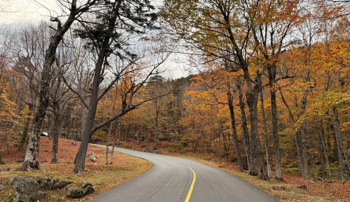 12 Fall Road Trips Across Borders Worth Adding To Your List 1 U.S. to Canada via Vermont’s Route 100