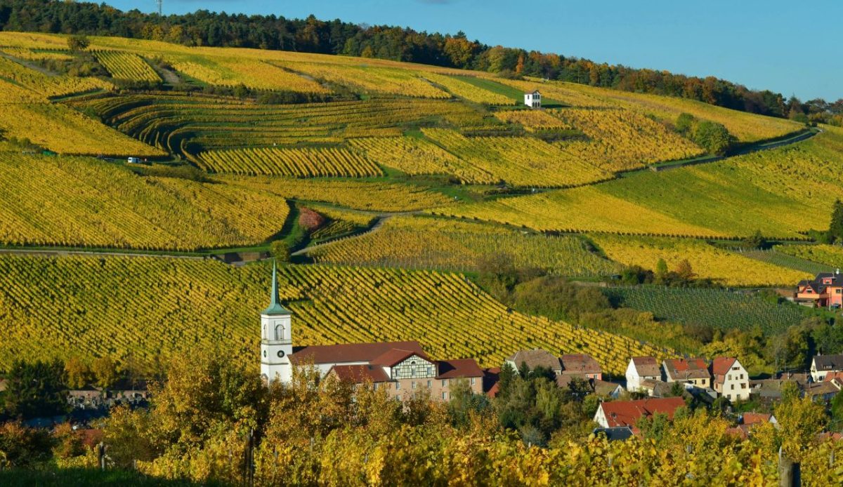 12 Fall Road Trips Across Borders Worth Adding To Your List 6 France to Switzerland via Alsace Wine Route