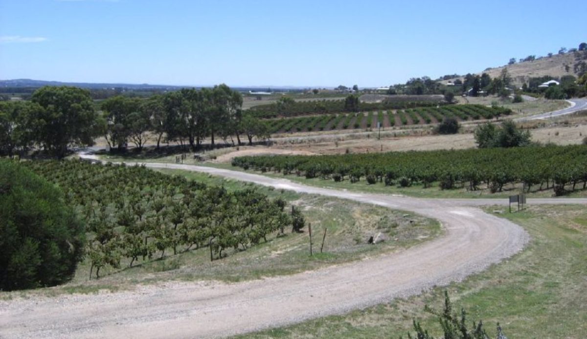 Barossa Valley Wine Trail, South Australia