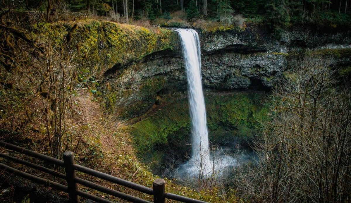 7 State Parks With Wonders That Rival National Parks 5 Silver Falls State Park, Oregon